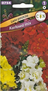 LWIA PASZCZA KARŁOWA mix kwitnie przez całe lato!!