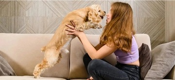 SZCZOTKA DO ZMECHACONYCH UBRAŃ DO USUWANIA SIERŚCI - MOCNA