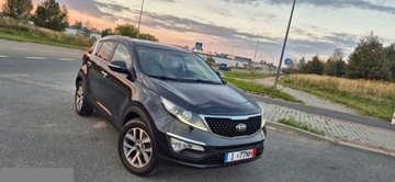 Kia Sportage III SUV Facelifting 1.6 GDI 135KM 2015 Kia Sportage 1.6 GDI Business Line L 2WD 135KM 2015r, zdjęcie 25