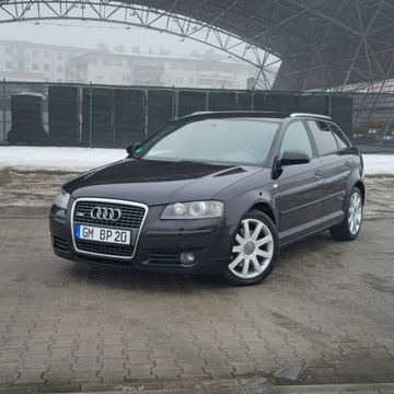 Audi A3 8P Hatchback 3d 2.0 TDI PD 170KM 2006 Audi A3 Sportback 2.0 TDI DPF S line Sportpaket, zdjęcie 2