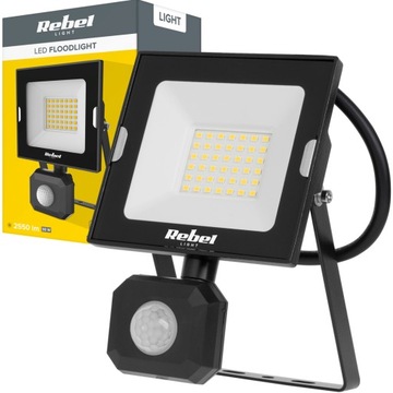 Halogen reflektor LED lampa naświetlacz 30W czujnik ruchu zmierzchu IP44