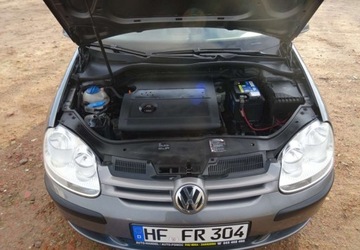 Volkswagen Golf V Hatchback 1.4 i 16V 75KM 2004 Volkswagen Golf 1.4ben,klima,alu,oplacony 1.4 Benzyna 75KM, zdjęcie 3