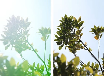 Крышка объектива Sigma FRONT 72mm LCF-72 III