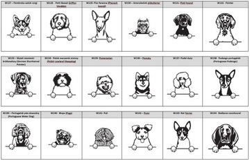 ИДЕНТИФИКАЦИОННАЯ СУМКА ДЛЯ СОБАК - ВСЕ ПОРОДЫ XL