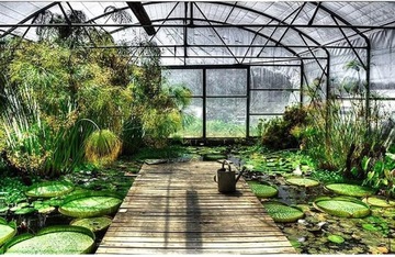 Водонепроницаемый ПРОЗРАЧНЫЙ САДОВЫЙ БРЕЗЕНТ С ГЛАЗАМИ 3х6м