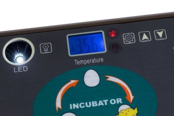 ИНКУБАТОР НА 35 ПТИЦЫ ЯИЦ ШПЯНИК БЕСПЛАТНО