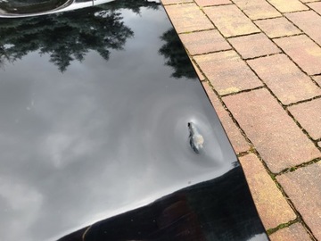 DVEŘE LEVÝ PŘEDNÍ KIA SORENTO II