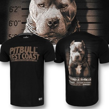 Koszulka męska PIT BULL t-shirt pitbull BAWEŁNA