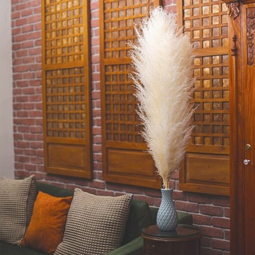 TRAWA PAMPASOWA SUSZONA DO WAZONU OZDOBNA PAMPASY