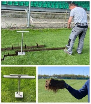 Otwornica do trawy babkownica do trawników muraw