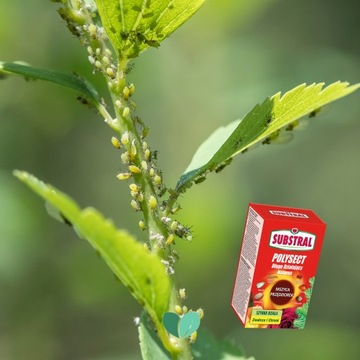 ИНСЕКТИЦИД POLYSECT APHID Substral Controls Паутинный клещ 100мл