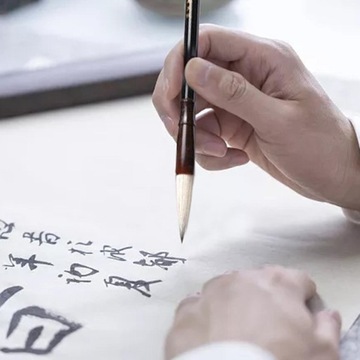 Набор кистей для китайской каллиграфии Цветные чернила для рисования Художественное письмо 11 шт.