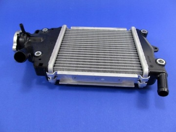 Новый оригинальный Honda Forza 125 2015-2020 Cooler