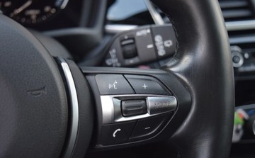 BMW X1 F48 Crossover xDrive25d 231KM 2018 BMW X1 2.0 D 231 PS xDrive Model Sport Line Ledy Edition Executive 2.0, zdjęcie 21