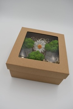 Подарочный набор «Крабовый лес»