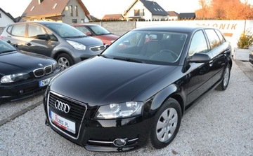Audi A3 8P Hatchback 3d 1.6 TDI 105KM 2010 Audi A3 Sportback LIFT - climatronic - oplacony - gotowy do rejestracji, zdjęcie 13