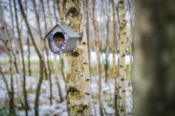 СОВРЕМЕННАЯ КОРМОВКА ДЛЯ ПТИЦ EVIE + ЖИРНЫЕ ШАРИКИ 15 ШТ. SINGING FRIEND