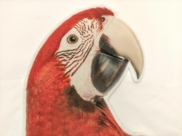 Наклейка на мебель SOFT Bird PARROT 36x67