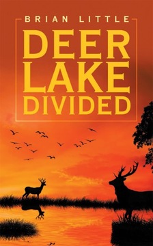 Deer Lake Divided - Little, Brian EBOOK
