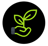 Мох Северный олень ЛЕСНОЙ В СТЕКЛЯННОЙ БАНКЕ 25г