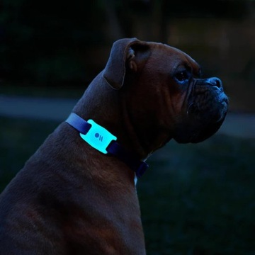 Case-Mate Dog Collar Mount — чехол с креплением на ошейник для Apple AirTag (диаметр