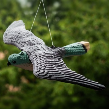 ОТПУСКАТЕЛЬ ПТИЦ, ГОЛУБИ, СКВОРЕЦ, ЛЕТАЮЩИЙ КЕСТЕЛЬ