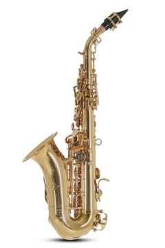 Изогнутый сопрано-саксофон Roy Benson SG-302