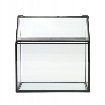 стеклянная теплица - Дом