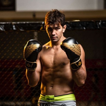 Спарринговые перчатки Bushido HAWK, 16 унций, черные и золотые, с системой Active Clima