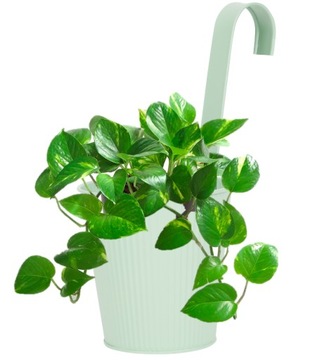 НАБОР ИЗ 5 ПРЕДМЕТОВ МЕТАЛЛИЧЕСКОГО ЦВЕТОЧНОГО ВАЗА КРЫШКА С КРЮЧКОМ ВЕШАЛКА ЦВЕТ БАЛКОН