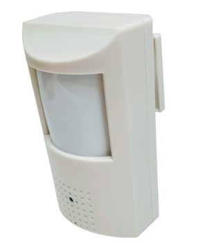 Ukryta Kamera IP Czujce PIR 3MP PoE IR 48x WIFI SD