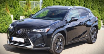 Lexus UX Crossover 250h 184KM 2021 Lexus UX (Nr.233) 2.0 Hybrid Automat AWD Navi Kamera Tempomat Gwarancja, zdjęcie 7