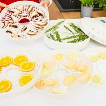 Сушилка для пищевых грибов МПМ МСГ-01