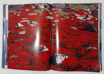 Арктика Земля вечных льдов Назарри