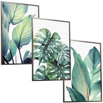 30x40 ZESTAW OBRAZY W RAMIE PLAKATY RAMKA MONSTERA TROPIKALNY BOHO NATURA