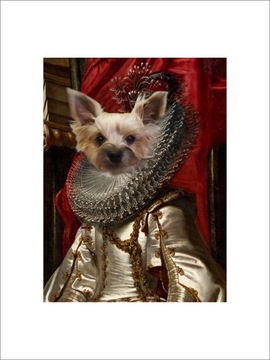 PLAKAT BEZ RAMY 30x40cm portret pies york sztuka królowa księżniczka