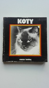 Koty nasze hobby