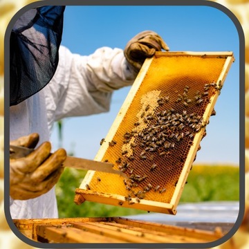 Корм для пчел Апиканд с пчелиной пыльцой 5х1кг.