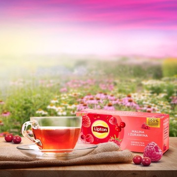Набор фруктового чая Lipton Малина Бузина, Клюква микс вкусов 4х20 пакетиков