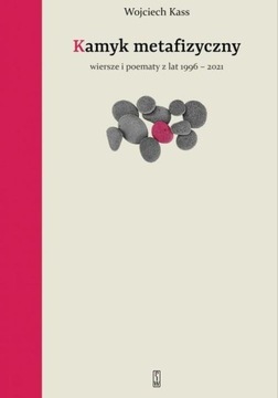 Kamyk metafizyczny Wojciech Kass NOWA
