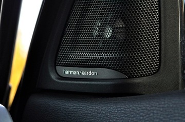 BMW X6 F16 Crossover xDrive30d 258KM 2015 BMW X6 M_Pakiet 30d XDrive HEAD-UP harman/kardon salon PL, zdjęcie 32