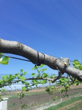 АНКЕРФИКС 16 СМ - 1 КГ - 230 ШТ.