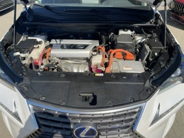 Lexus NX I SUV Facelifting 300h 197KM 2018 Lexus NX 300H Hybryda Automat 197KM, zdjęcie 15