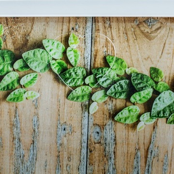 Гостевая книга, свадебная рамка, вставка для свадебной фотографии