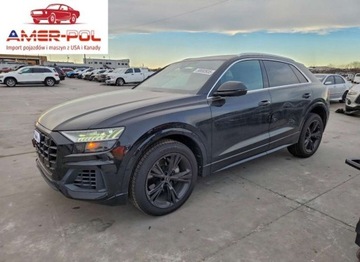 Audi Q8 2023 Audi Q8 Premium Plus 2023 3.0 Benzyna 335KM