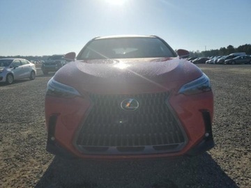 Lexus NX II 2024 Lexus NX 2025 LEXUS NX 350H BASE silnik benzyna 2.5 L 2.5 Hybryda 240KM, zdjęcie 5
