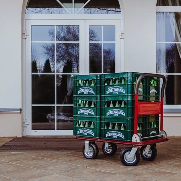 Wózek transportowy platformowy magazynowy 300KG KOŁA NA ŁOŻYSKACH Mega-M