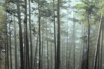 Штора для душа AVE 150x200 полиэстер LAS