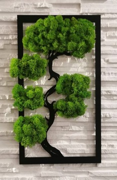 Дерево бонсай со мхом, красивый прямоугольный мох, 40х24.