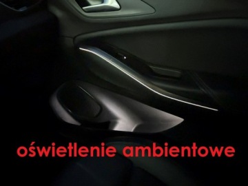 Opel 2019 Opel Grandland X 1.6 180 KM Automat Skóry Full, zdjęcie 18